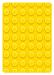 card-back
