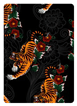 card-back